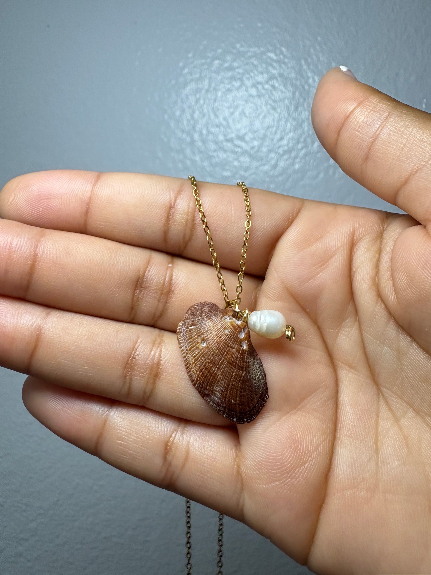 Real Shell Neckalce