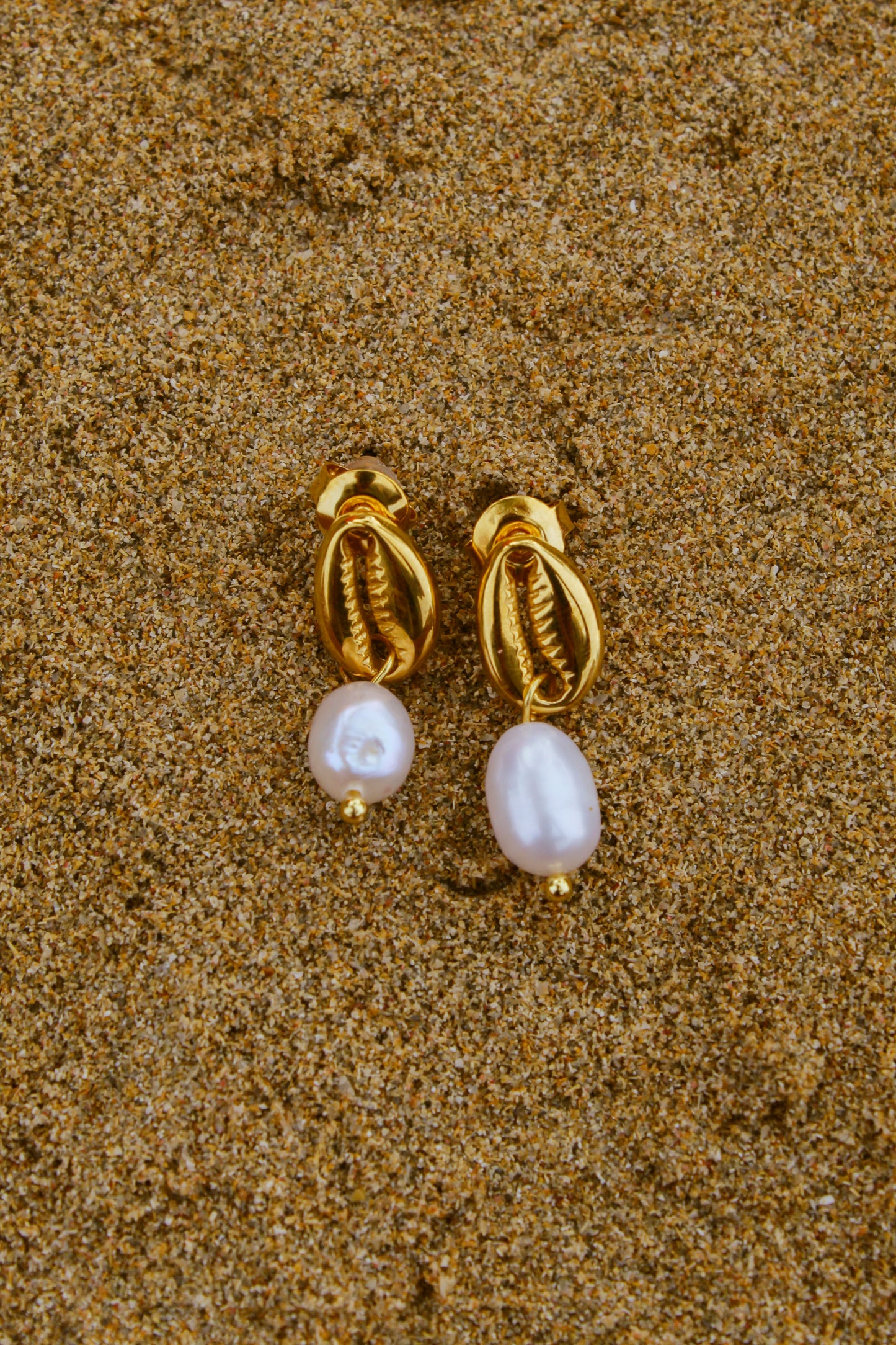 Conch Earrings