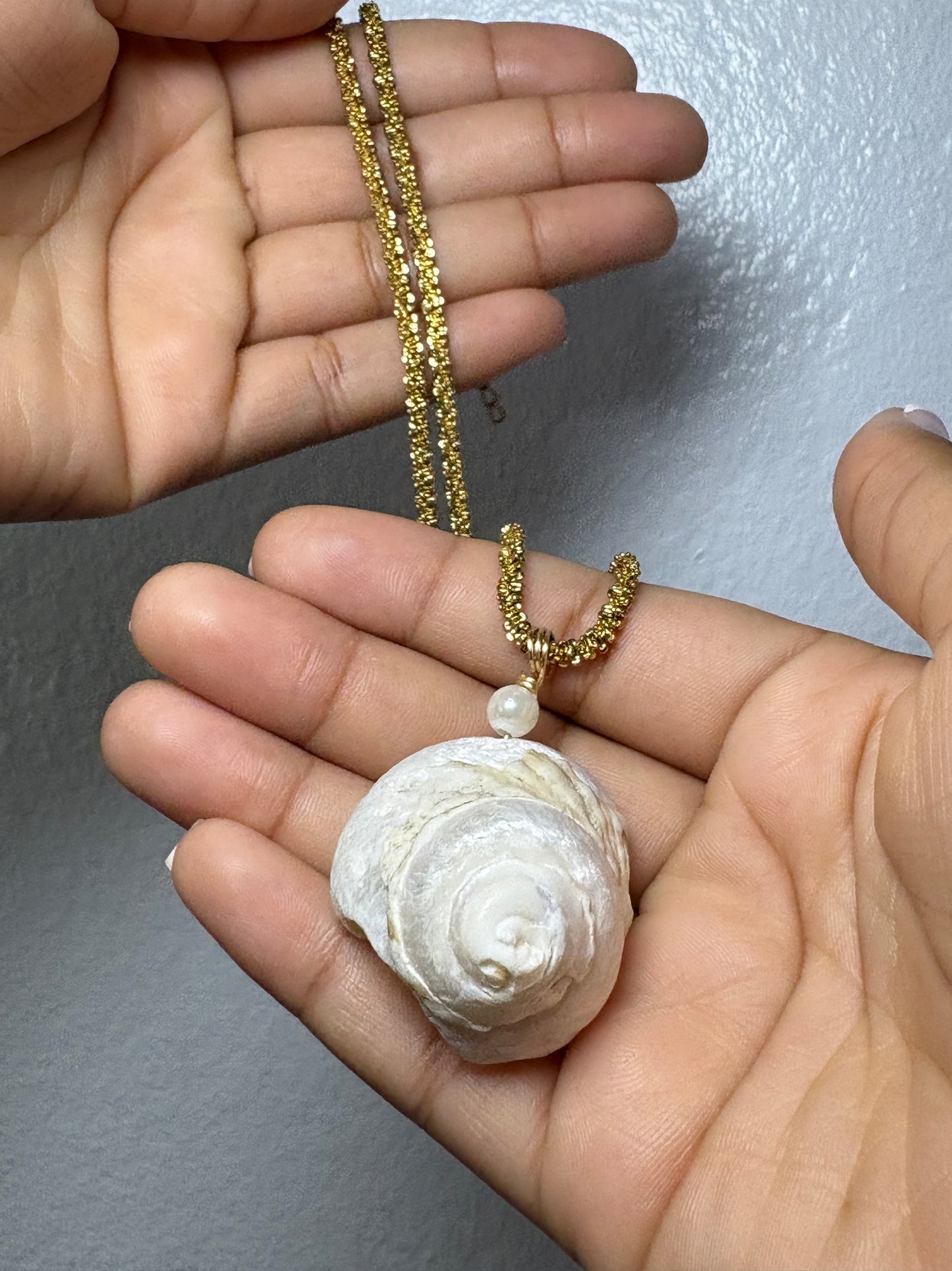 Real Shell Neckalce