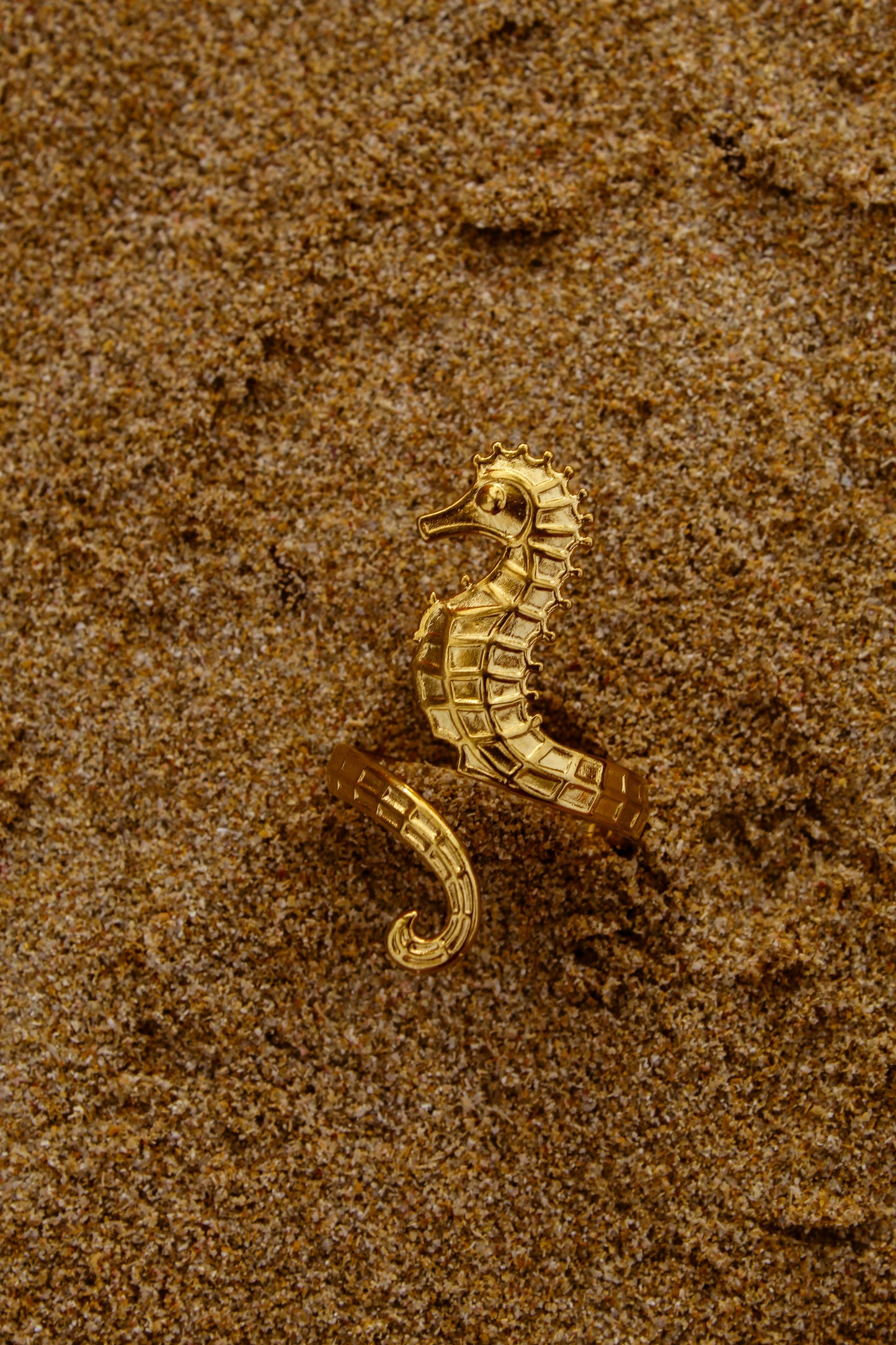 Caballito Ring