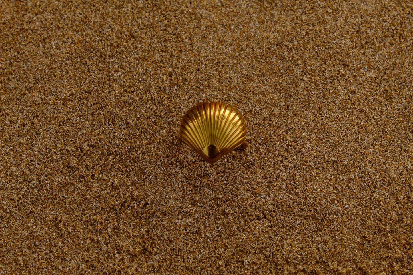 Caracola Ring