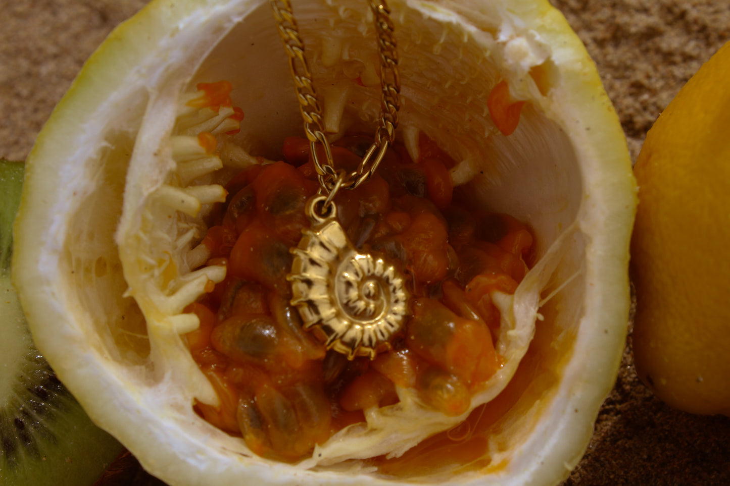 Caracol Figaro Necklace
