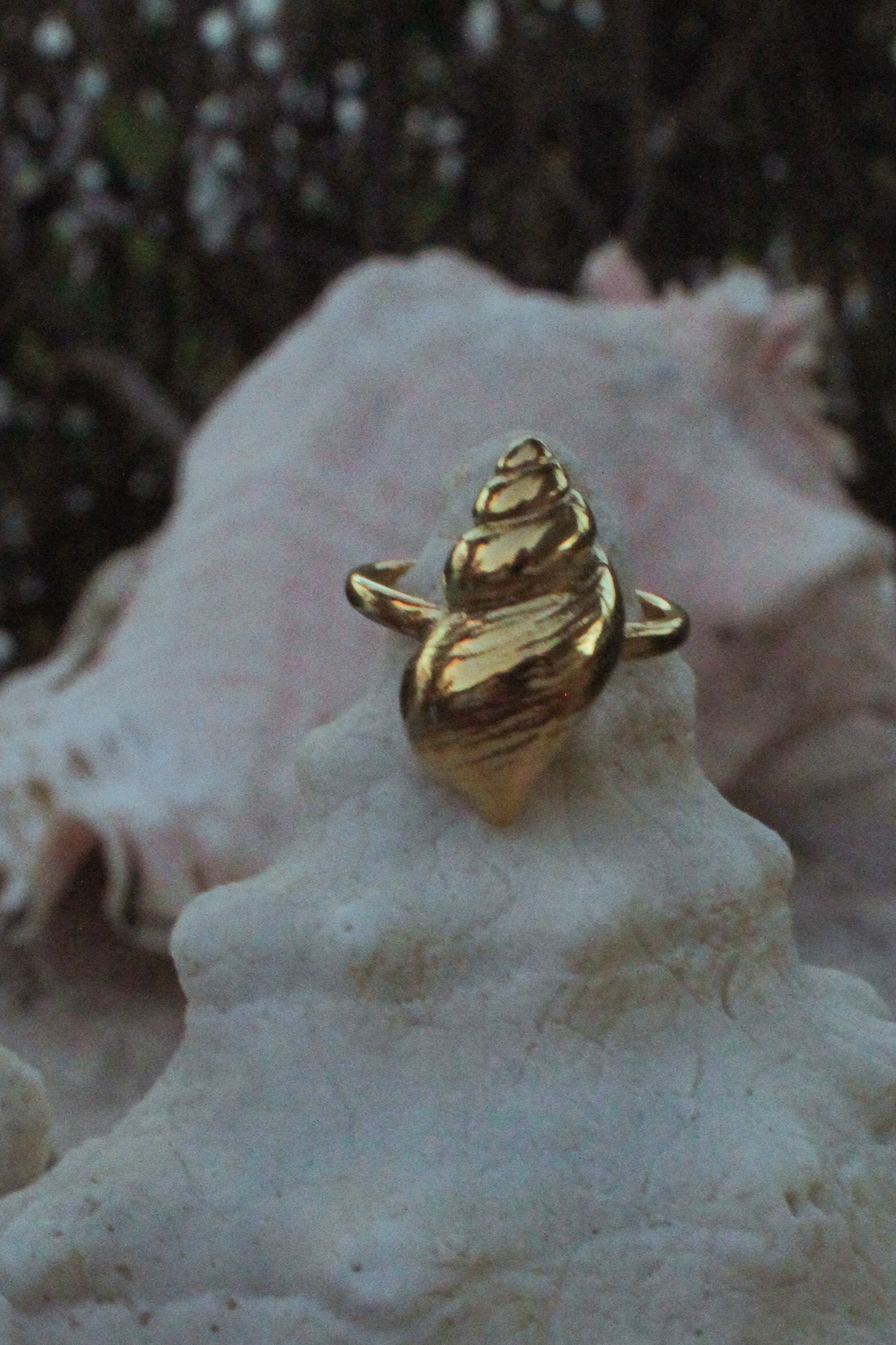 Sound of Sea Ring