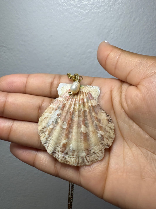 Real Shell Necklace