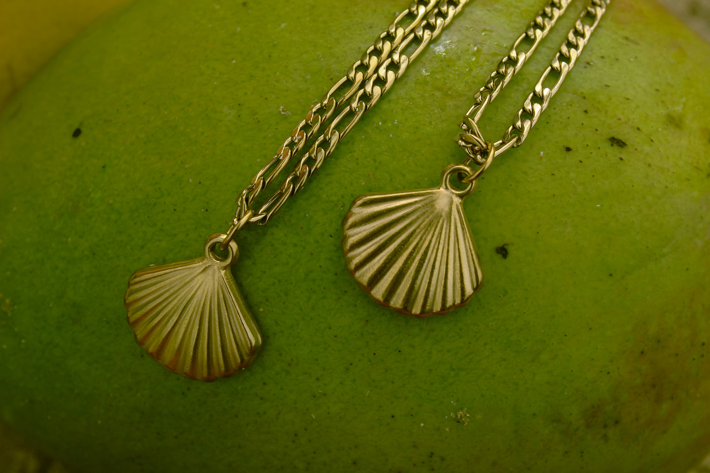 Shell Figaro Necklace