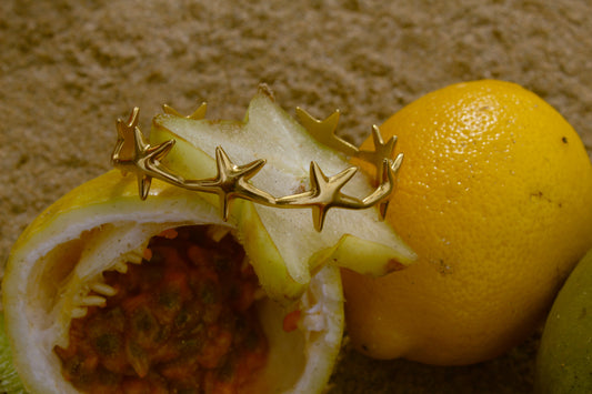 Colita Bangle