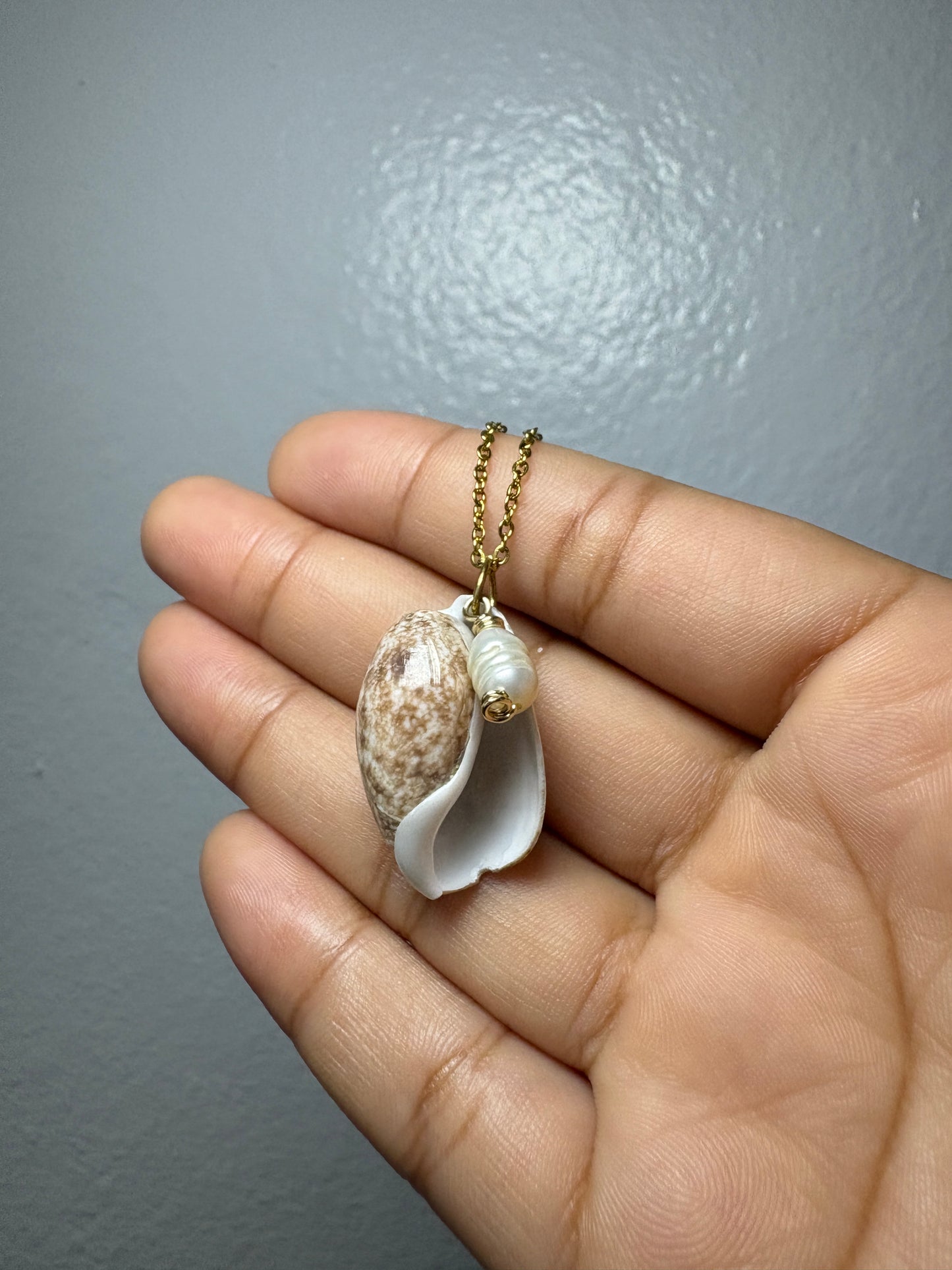Real Conch Necklace