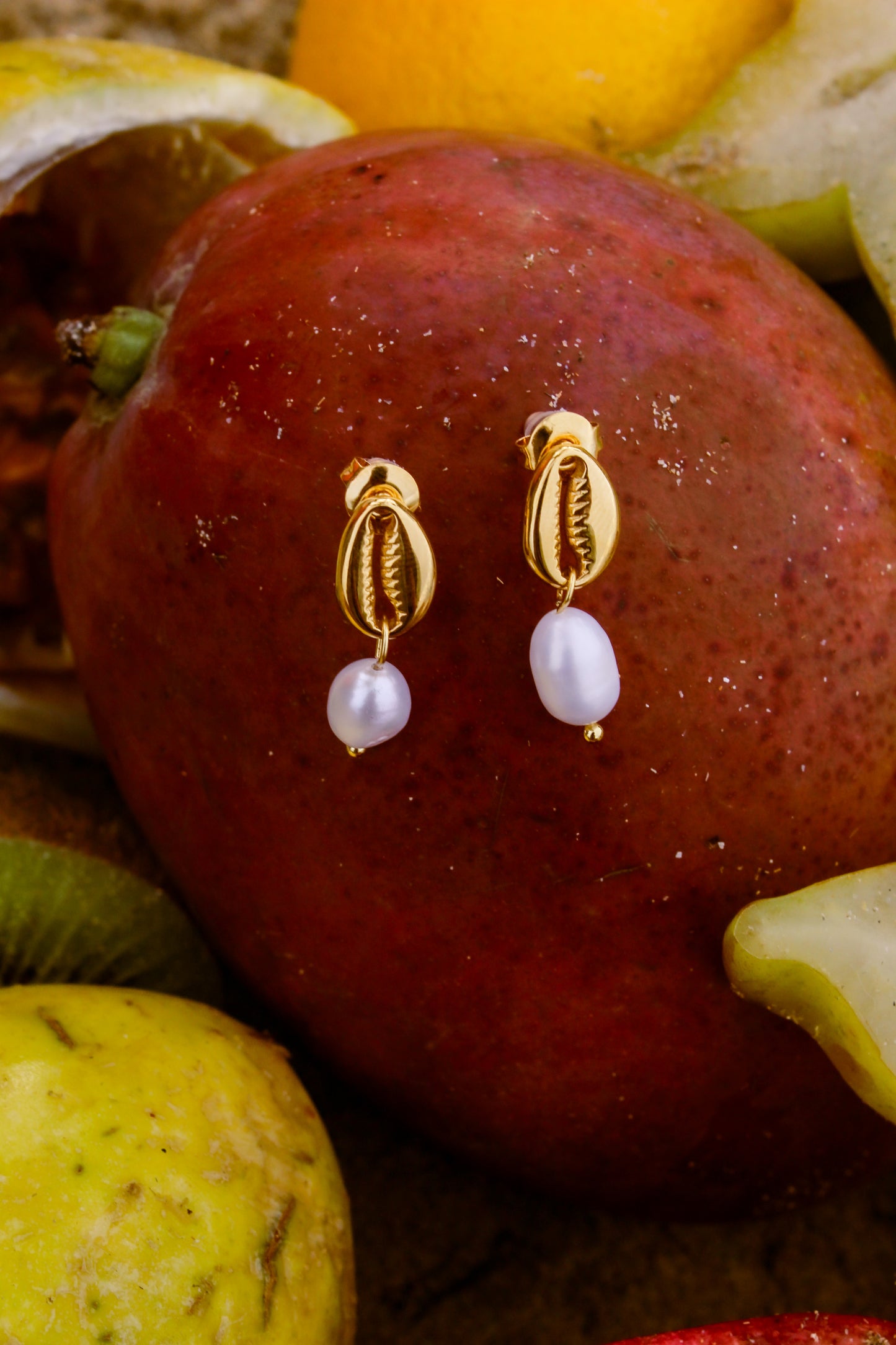 Conch Earrings