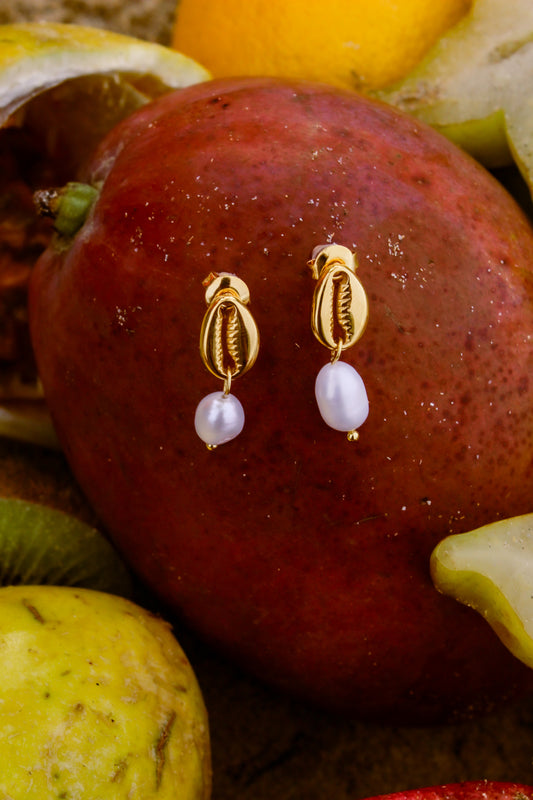 Conch Earrings