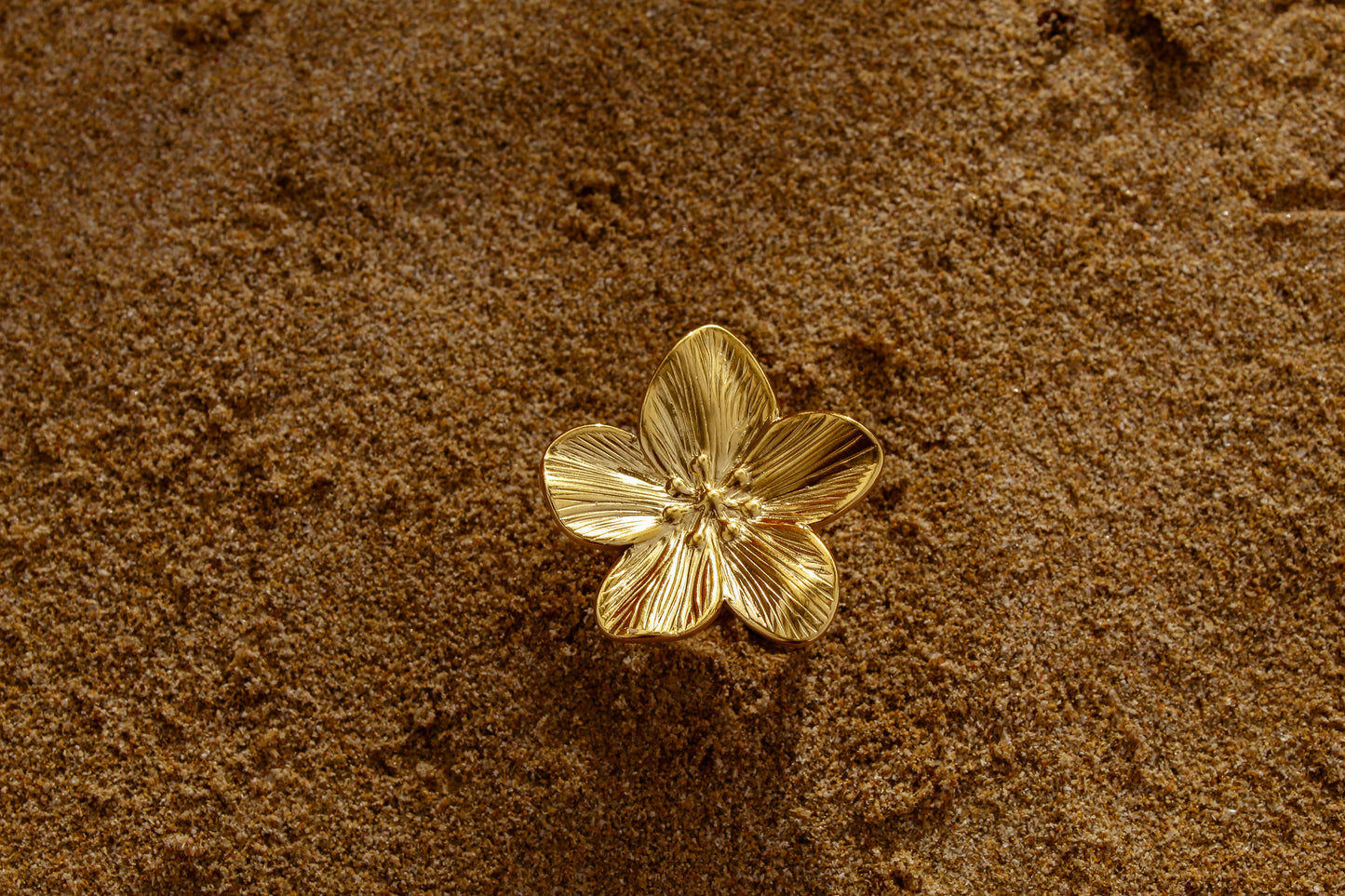 Hibi Ring