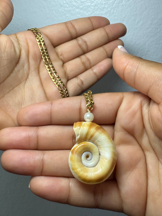 Real Spiral Shell Necklace