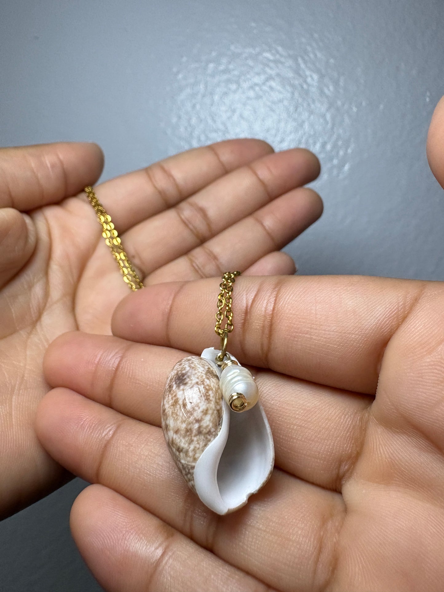 Real Conch Necklace