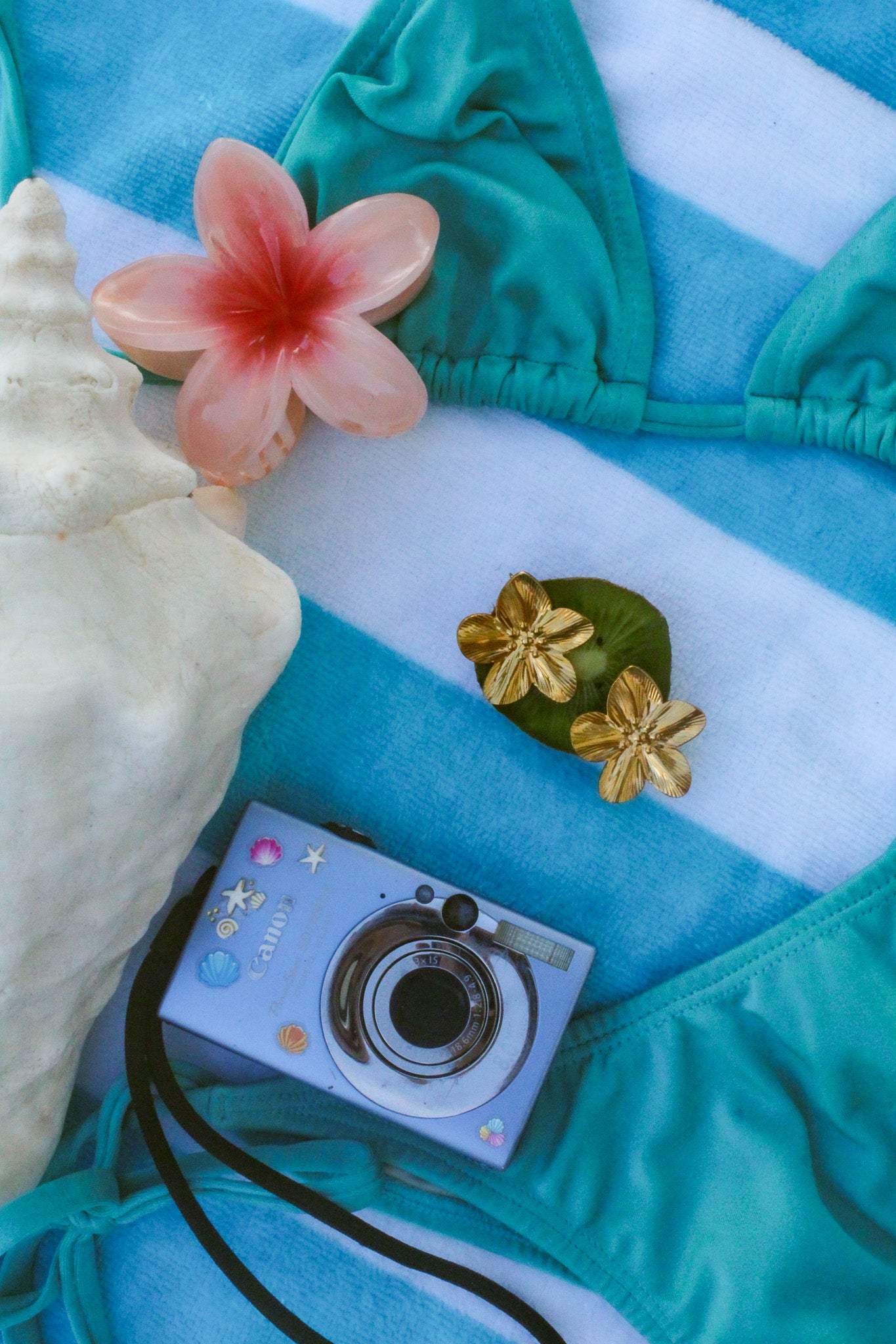 Hibi Earrings