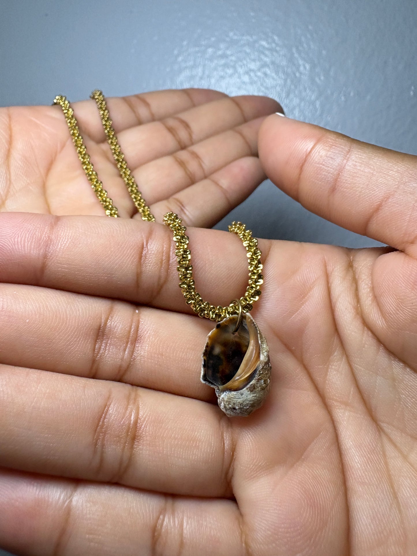 Real Shell Necklace