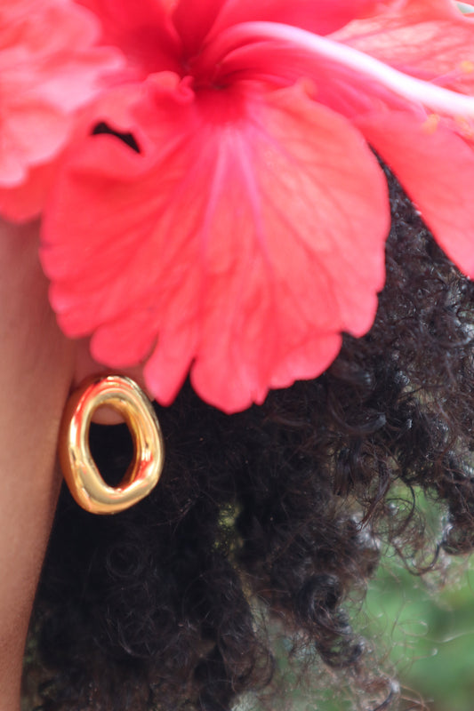Open Ring Earrings