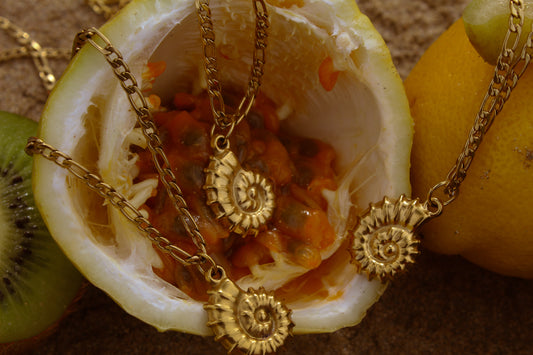Caracol Figaro Necklace
