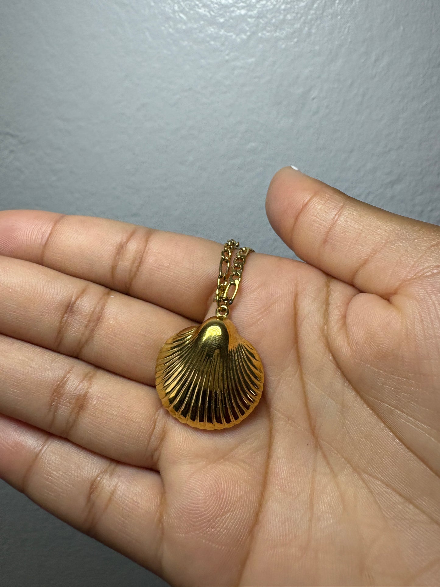Shell Necklace