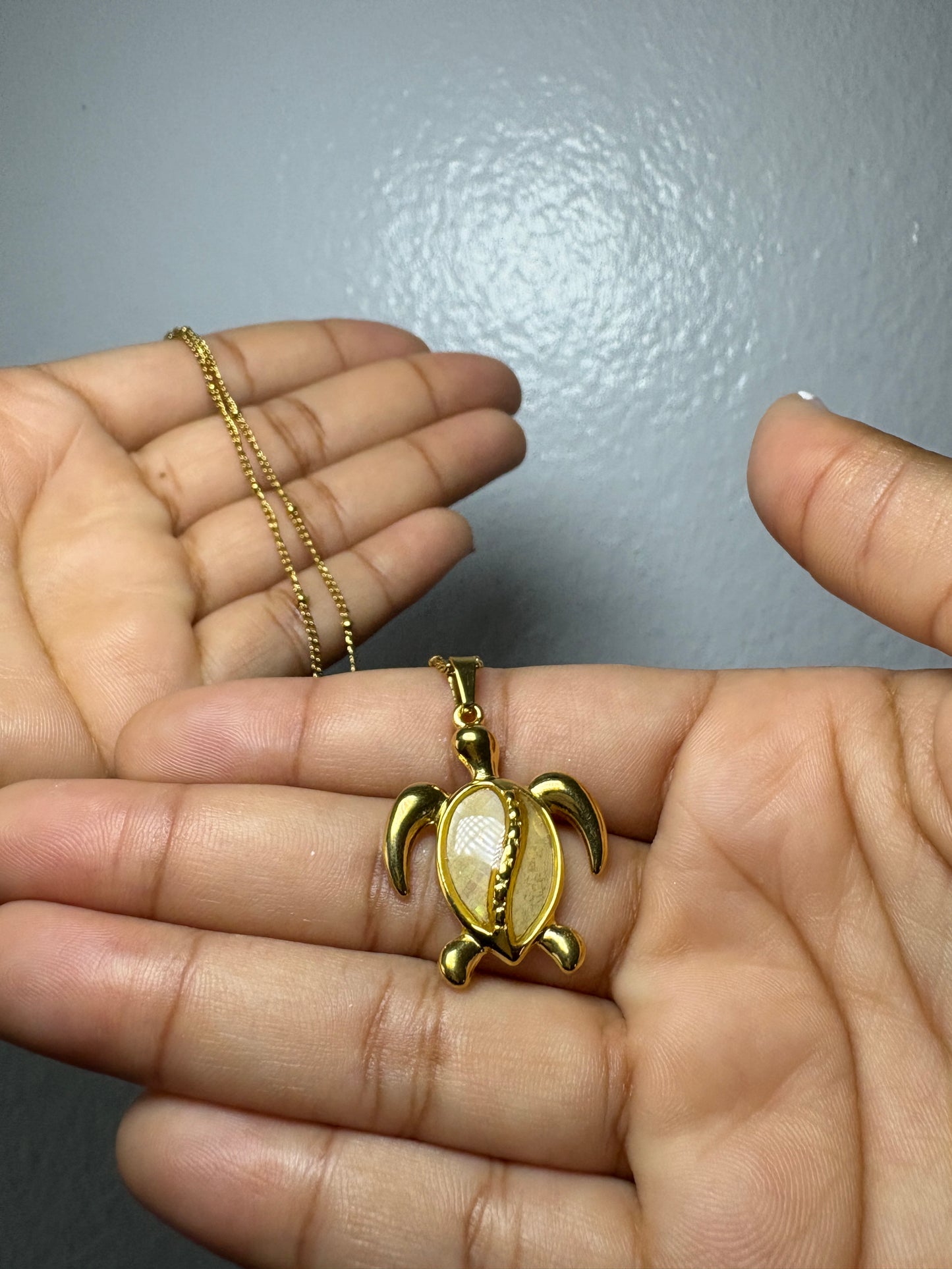 Tortuga Necklace