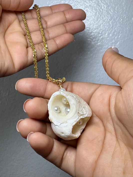 Real Shell Neckalce