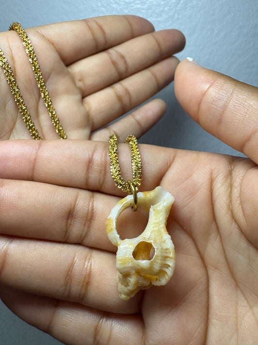 Real Shell Necklace