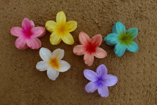 Picua Claw Clips