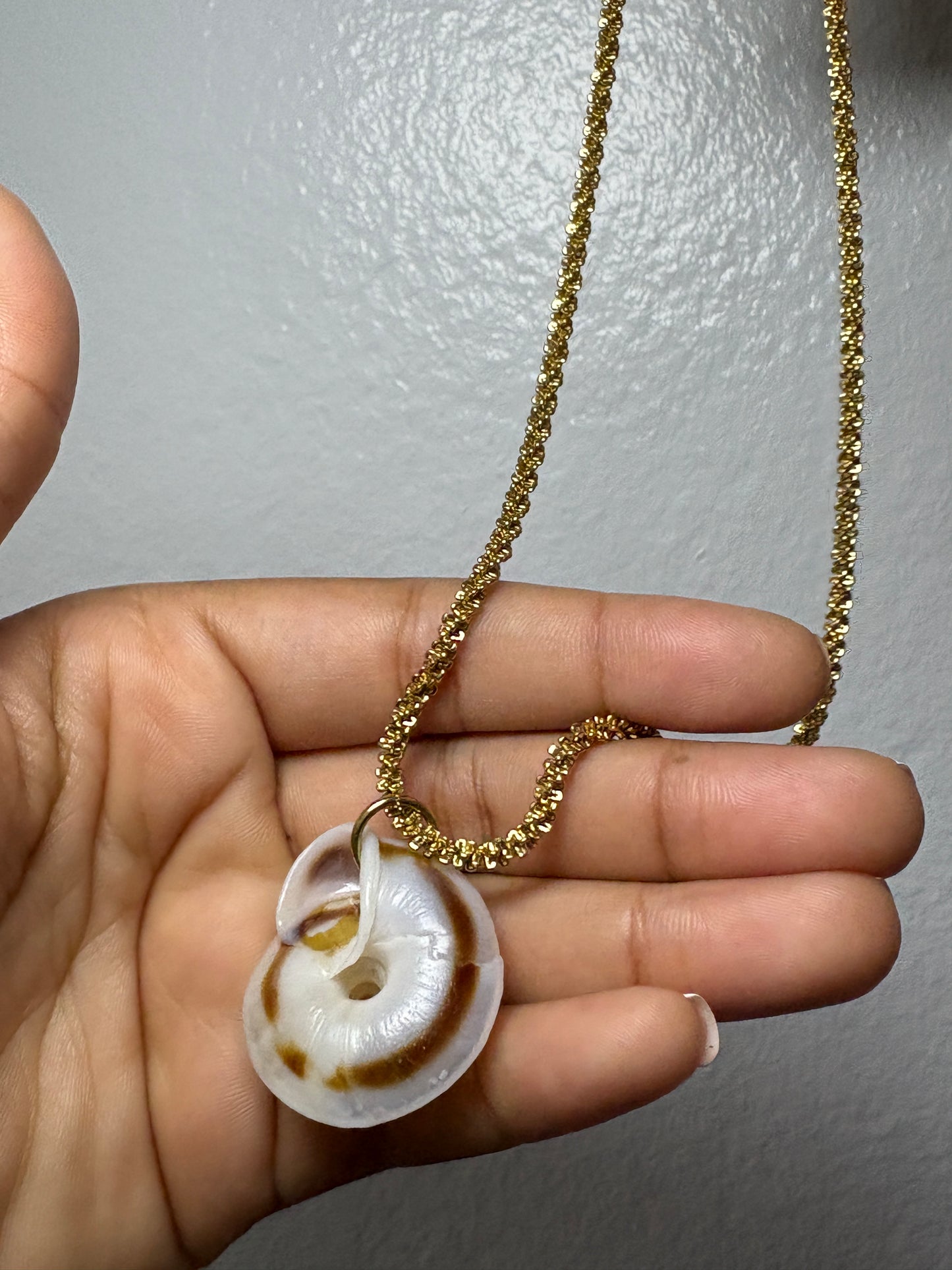 Real Shell Necklace