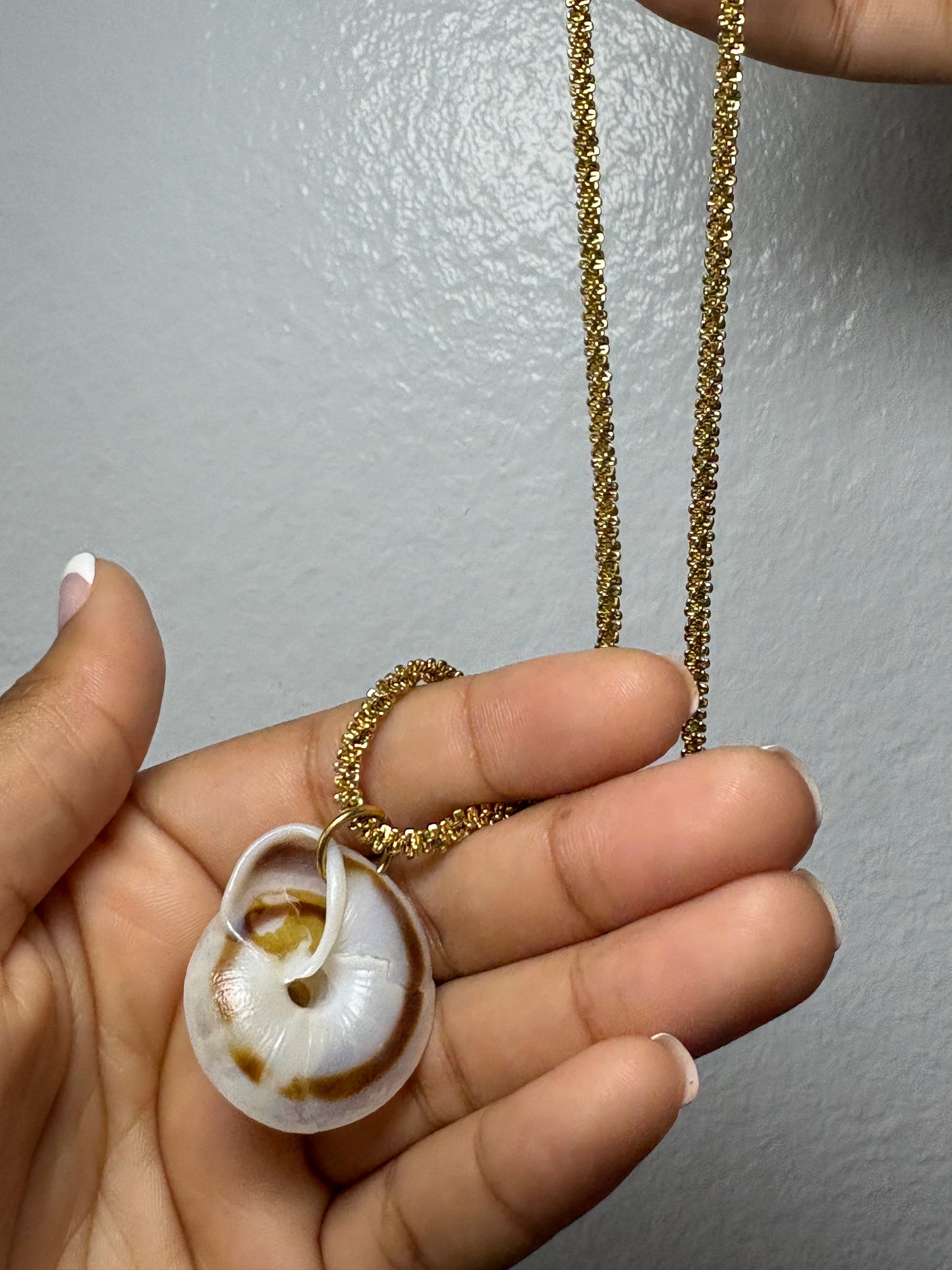 Real Shell Necklace
