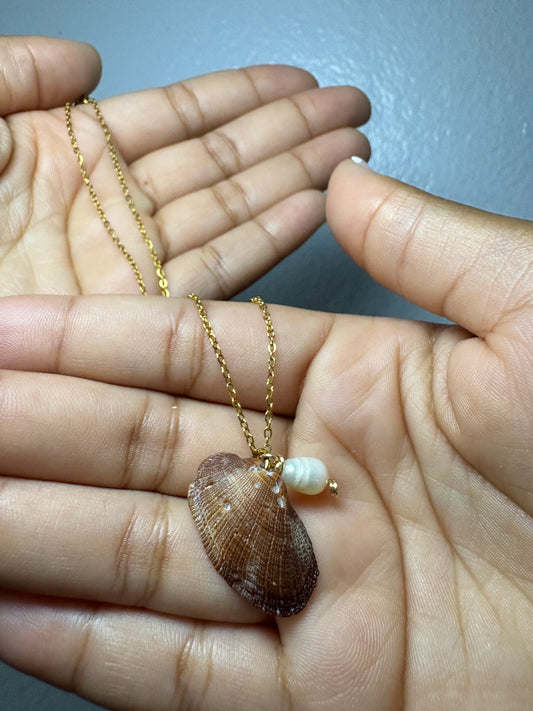 Real Shell Neckalce
