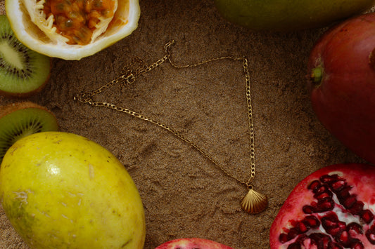 Shell Figaro Necklace