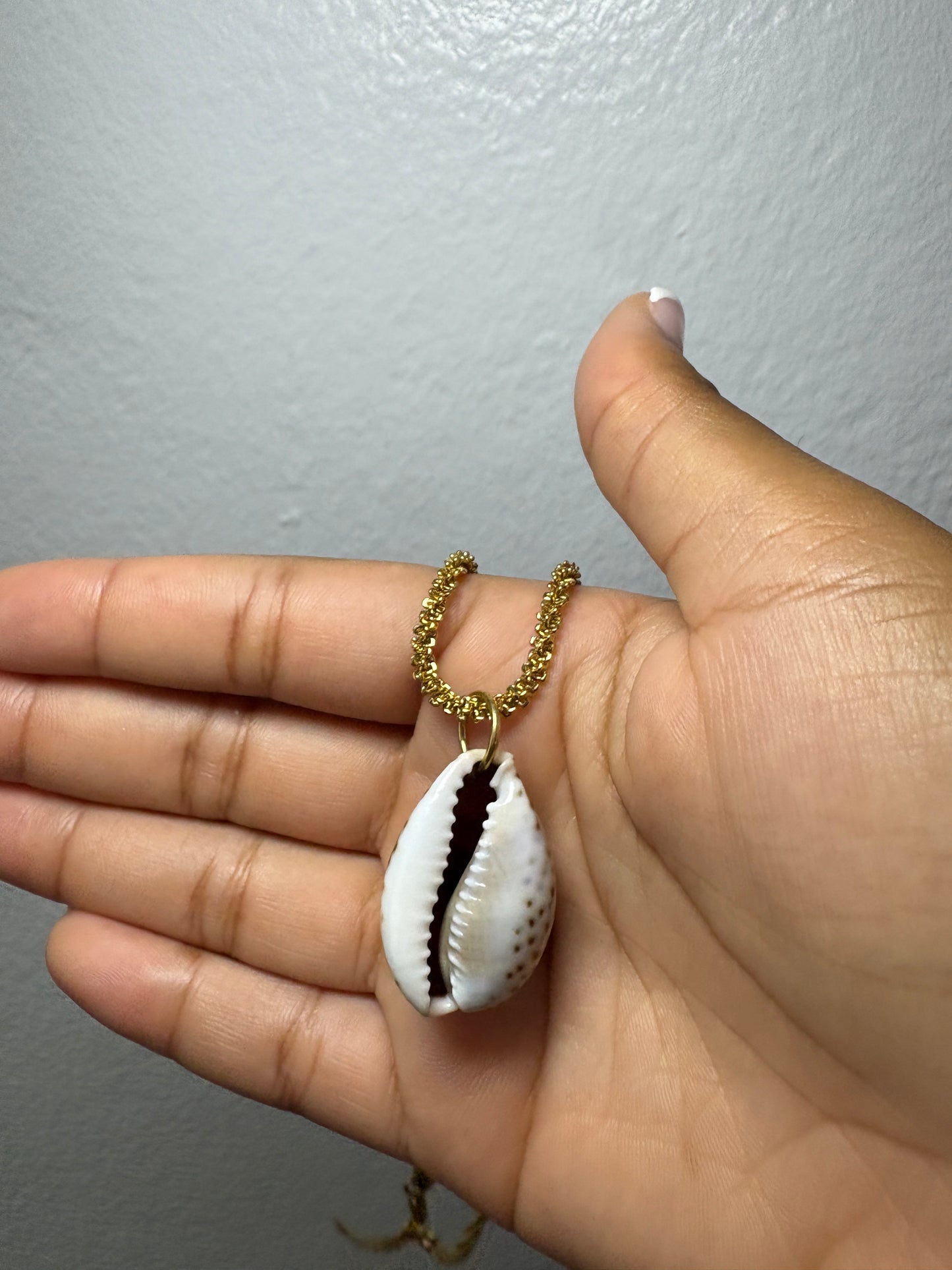 Real HUGE Cowrie Shell Necklace