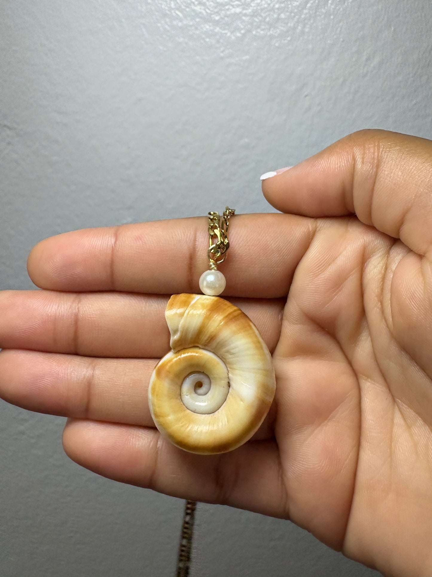 Real Spiral Shell Necklace